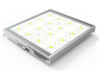 हाई पावर ग्रीनहाउस ग्रो लाइट्स 800W, इंडोर गार्डनिंग COB लैंप के लिए LED ग्रो लाइट्स