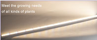 आकार 120 मिमी हाई पावर ग्रो लाइट्स 24w इनपुट 100 - 240VAC इंडोर प्लांट के लिए:
