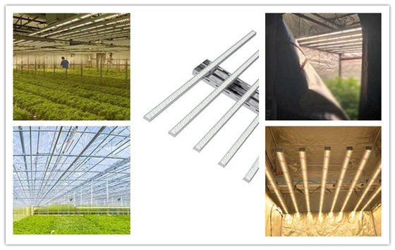 हाउस गार्डन के लिए 4000L 6500K इंडोर एलईडी ग्रो लाइट 5 साल वॉरेंटी 650W एलईडी ग्रो लिग्ट